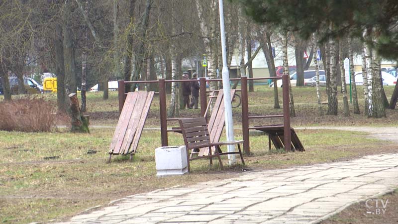 Детский фонтан, встроенный твистер, место для выгула собак: что нового появится в парке Дружбы народов?-24