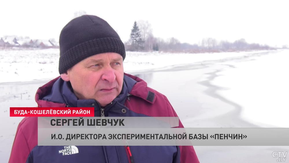 300 гектаров озимых посевов под водой. Как аграрии Гомельской области восстановят ущерб?-4