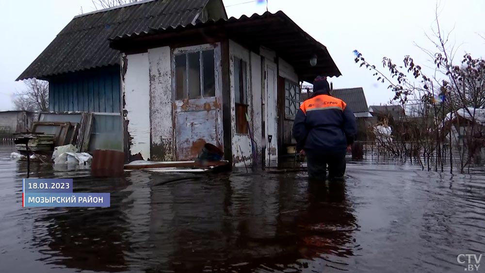 Гусей и кур переселяют в дом. Что о паводках говорят жители пострадавших районов?-4