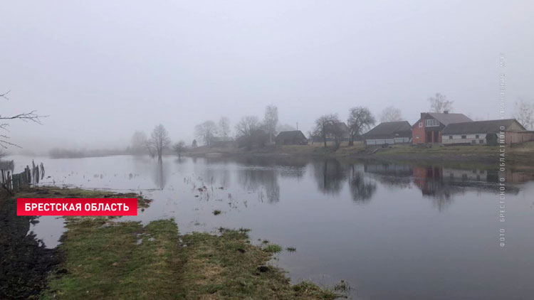 На некоторых участках дорог в Бресте затруднено движение из-за подтоплений паводковыми водами-1