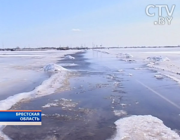 Очередной подъем воды в Столинском районе: за сутки вода поднимается до 15 см