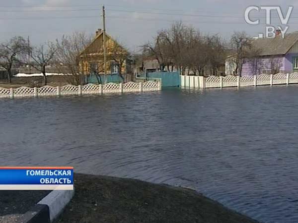 Паводок в Беларуси. В зоне риска – Брестская и Гомельская области, в южном регионе ситуация штатная