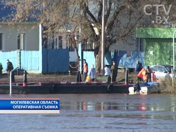 Паводок в Могилевской области. Шкловский и Быховский районы превратились в «маленькие Венеции»