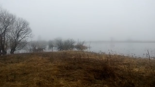 «Разливы во всей красе»: в январе в Гомельской области реки выходят из берегов-4