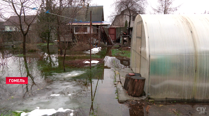 «Это наша Венеция». В Гомельской области талые воды затопили частные дома и подворья  -10