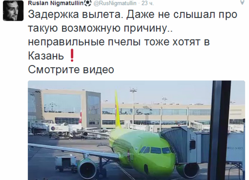 «Пчелы тоже хотят в Казань»: рой пчел помешал самолету улететь из Москвы-1