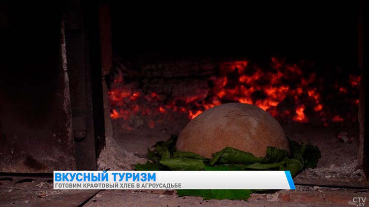 Нашли место в Беларуси, где научат печь крафтовый хлеб и покажут колоритную агроусадьбу. Вот эта туристическая локация-25