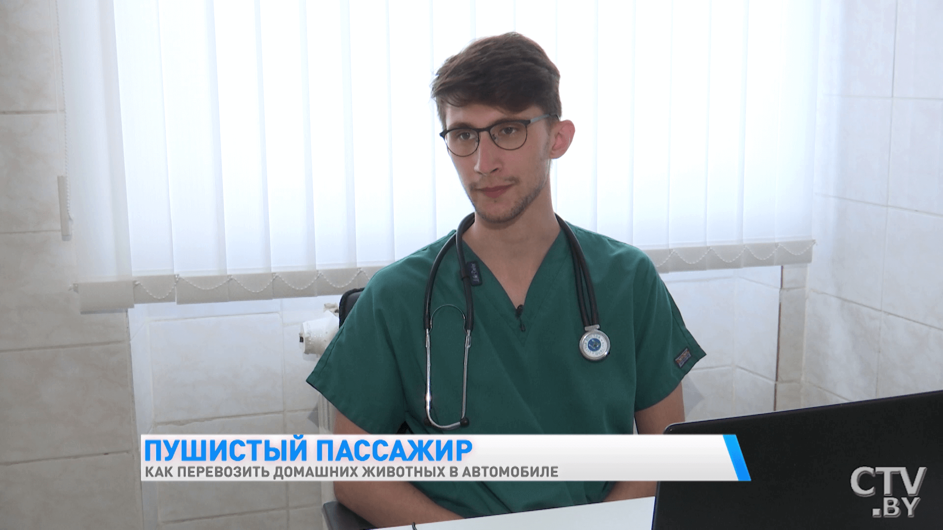 Как правильно перевозить домашних животных в автомобиле? Рассказывает ветеринар-1