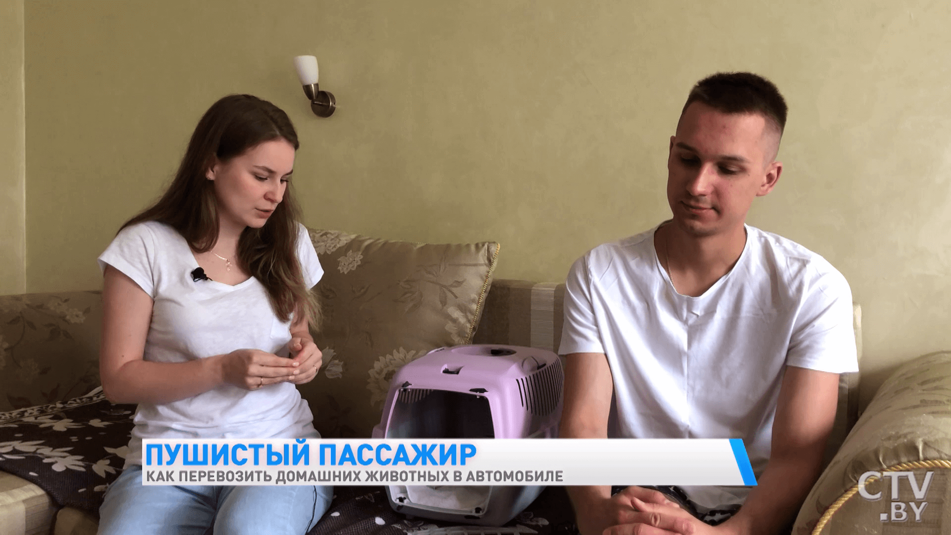 Как правильно перевозить домашних животных в автомобиле? Рассказывает ветеринар-13