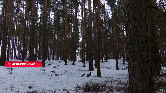 «Где-то даже жёстче, чем мужчина». Лучшим лесничим Беларуси впервые стала девушка-19