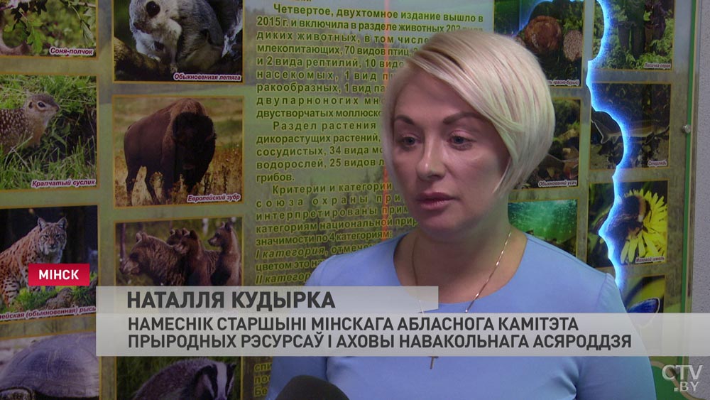 Специалисты призывают не срывать первоцветы. За что может грозить штраф?-4