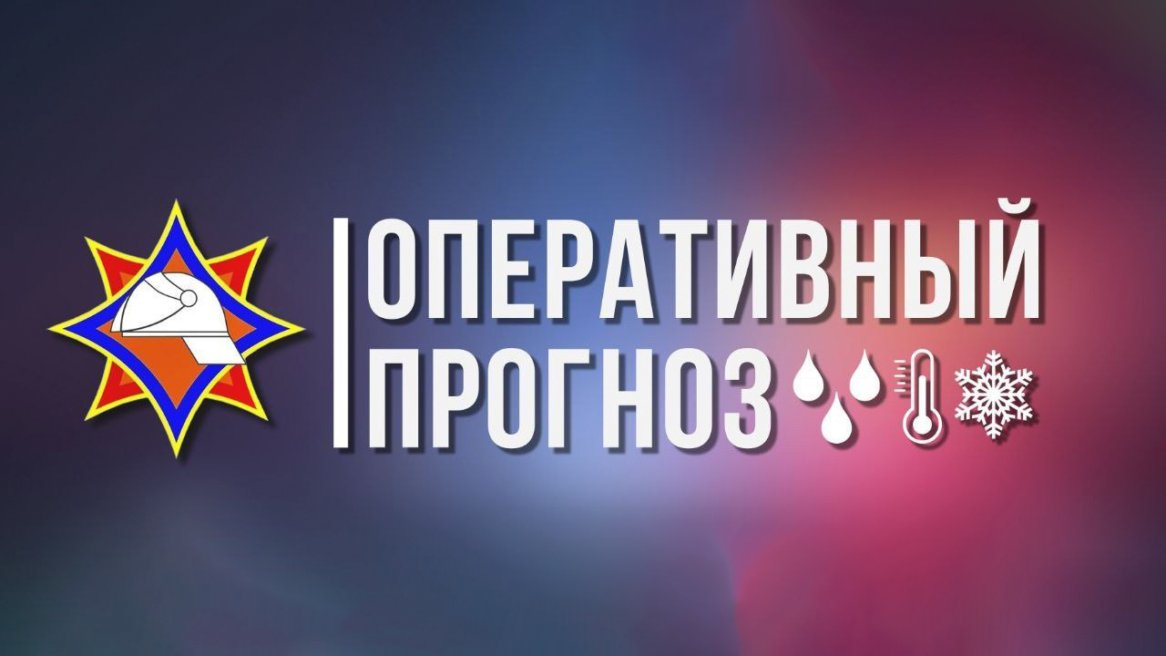 В МЧС предупредили об опасности при тумане и грозах