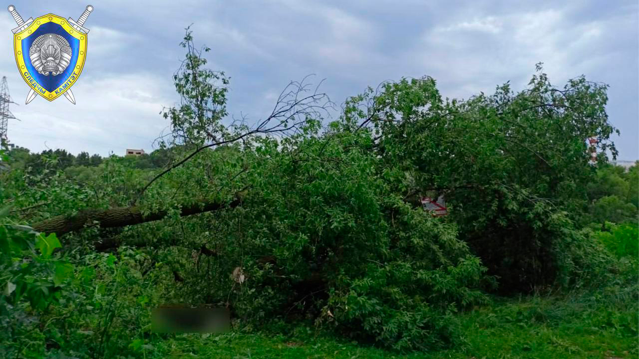 СК устанавливает обстоятельства гибели женщины в Могилеве во время непогоды-2
