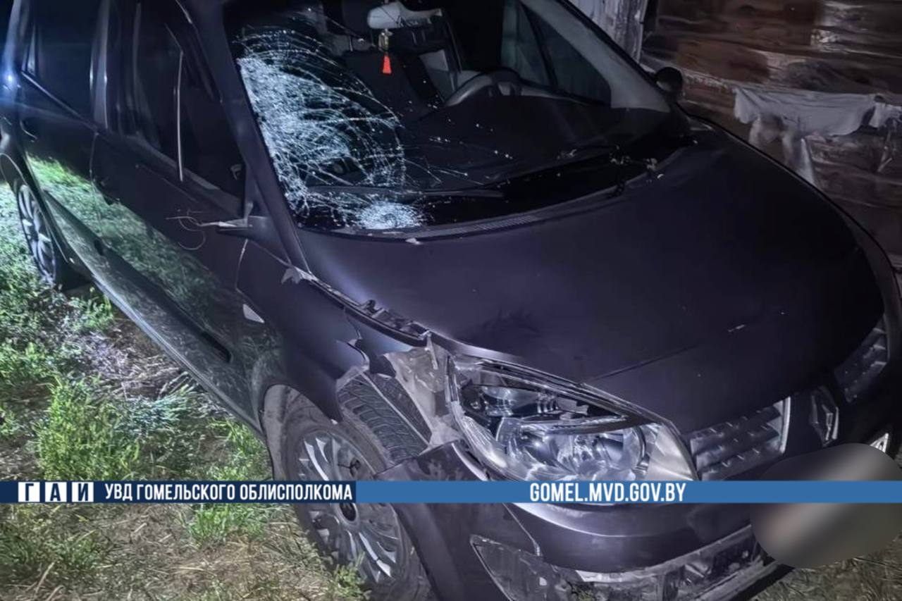 В Гомельской области произошло ДТП, погиб несовершеннолетний В Гомельской области произошло ДТП, погиб несовершеннолетний