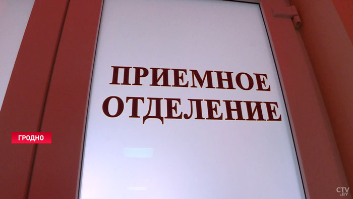 Дмитрий Пиневич: оцениваем общее состояние здоровья беженцев путём опроса-10