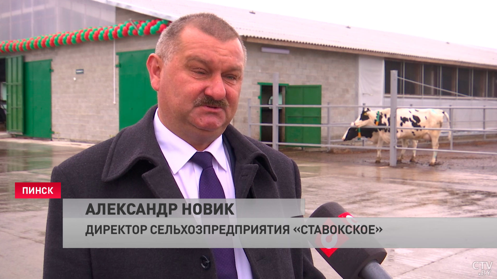 В день здесь получают 30 тонн продукта. В Пинском районе открыли новую молочно-товарную ферму-5