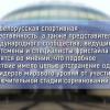 Обнародованы выдержки из письма Лукашенко президенту МОК: «Действие имело целью отстранение одного из лидеров мирового уровня»-1