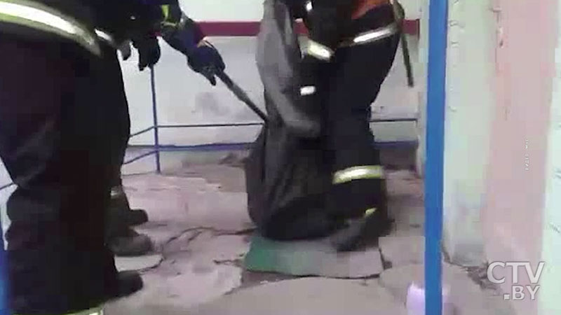 Найден хозяин 4-метрового питона, пойманного на территории детского сада в Минске