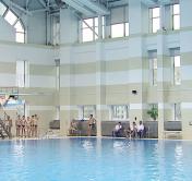Синхронное плавание, прыжки в воду, водное поло. Какие проблемы и достижения у водных видов спорта в Беларуси