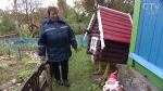 Избушка на курьих ножках и уникальная коллекция открыток: один день с почтальоном Алефтиной Рябцевой