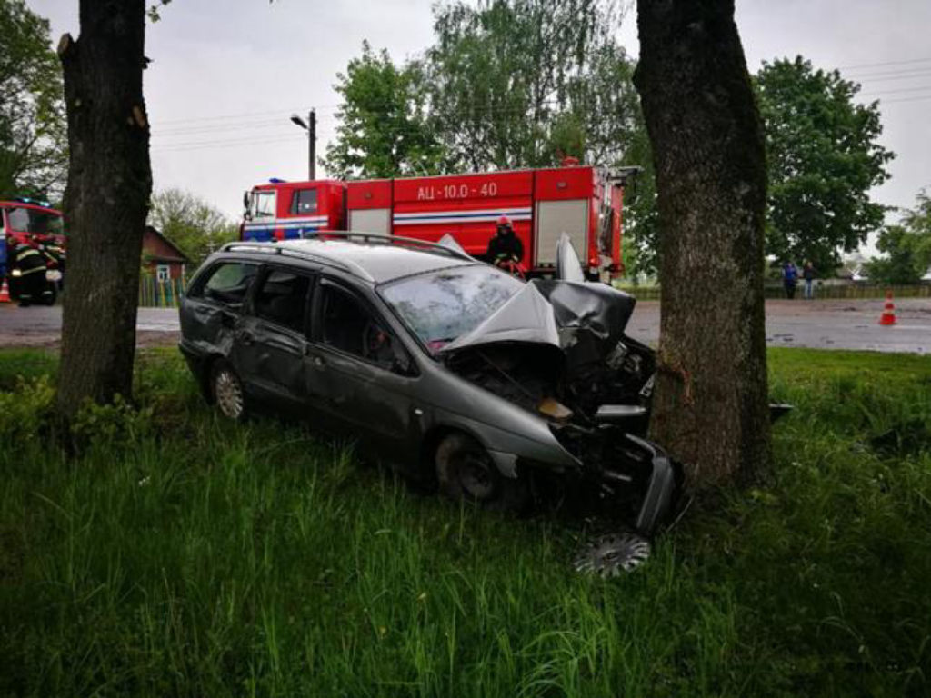 Под Клецком водитель на Citroen врезался в дерево-4