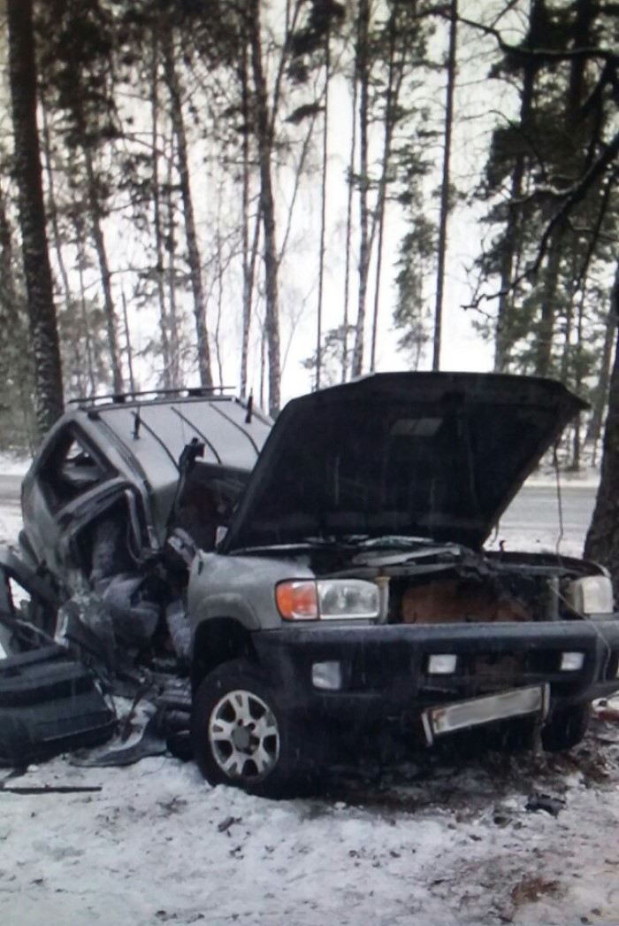 В Любанском районе Nissan врезался в дерево. Погибли два человека-4