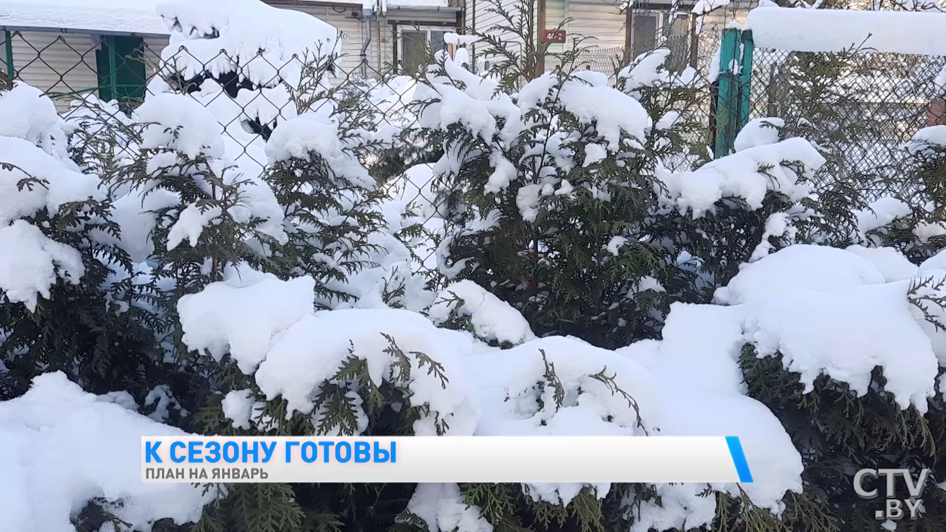 Подготовка к дачному сезону зимой. Шесть действий, которые можно сделать уже сейчас-19