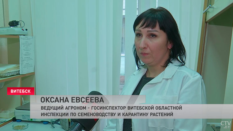 В Витебской области завершают проверку семян зерновых и зернобобовых культур-4