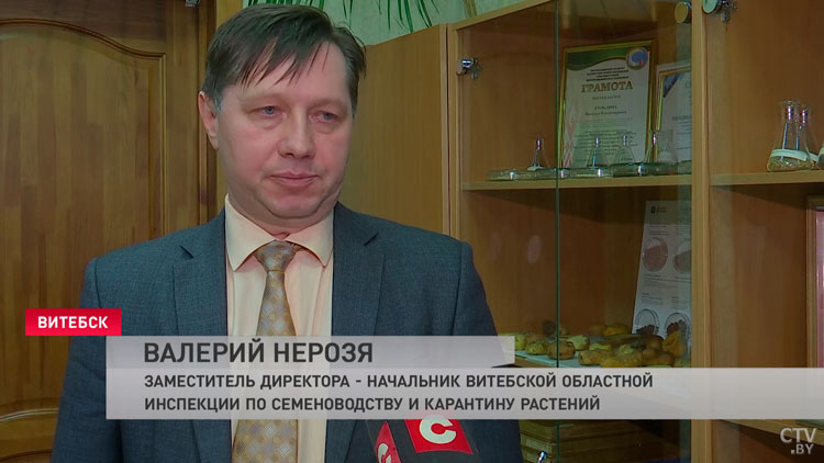 В Витебской области завершают проверку семян зерновых и зернобобовых культур-7