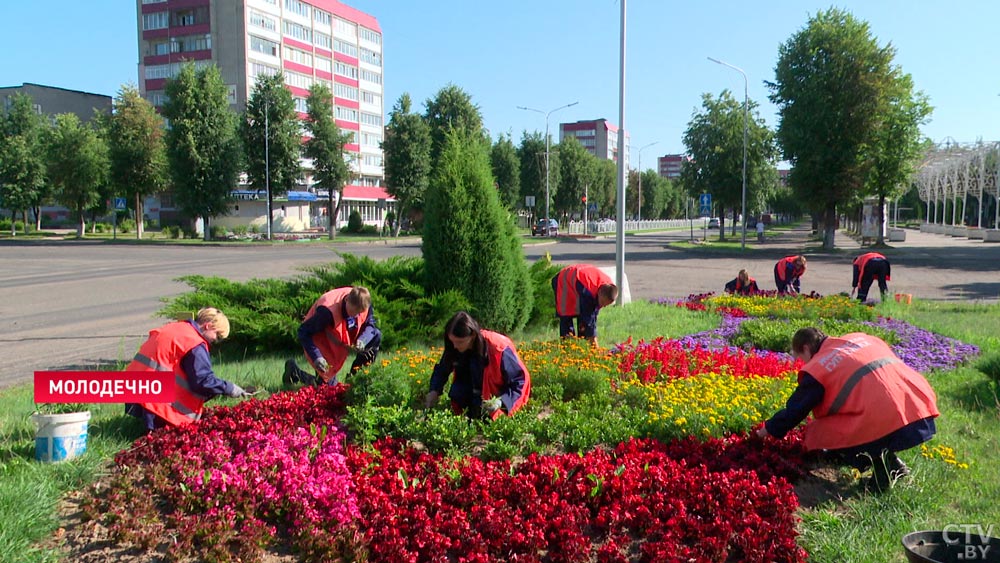 В Минской области в студотряды на лето трудоустроят более 3000 школьников. Кем можно поработать?-1