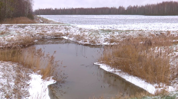 Паводковая вода стоит на полях озёрами! Какой план для посевной-2023 подготовили брестские аграрии?