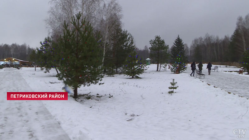 Поляна желаний, новогодний хоровод и обед у костра. Подворье Деда Мороза появилось в Национальном парке «Припятский»-43