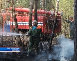Третьи сутки ведется борьба с лесным пожаром в Белыничском районе 