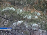 На выходных в Беларуси погода совсем не зимняя: днем до +10°С, ночью ожидаются дожди  
