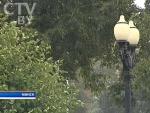 Погода в Беларуси 22-27 июля: до 30 тепла, на 2-4 градуса выше нормы