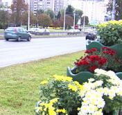 +18,5. Температурные максимумы ноября обновлены в Беларуси