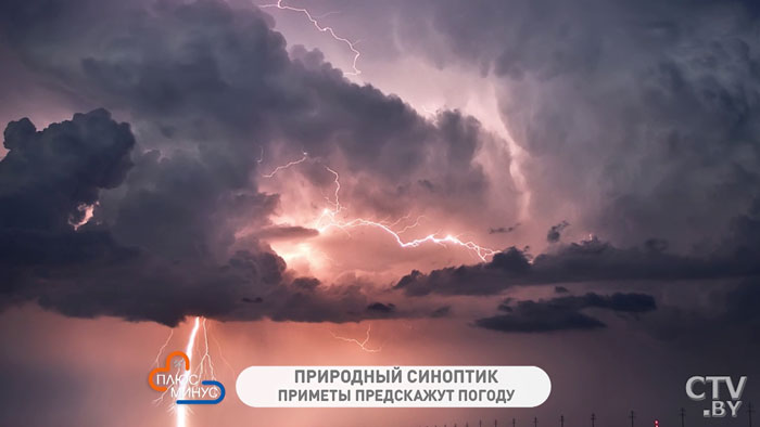 Дождь на Благовещение – год будет грибным, гроза – к тёплому лету. Народные приметы на первую декаду апреля -4