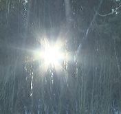 Мороз до -19°C, местами – снег: погода в Беларуси на неделю