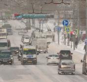 В Беларуси из-за сильного ветра объявлен оранжевый уровень опасности. Помните про высокие деревья и билборды