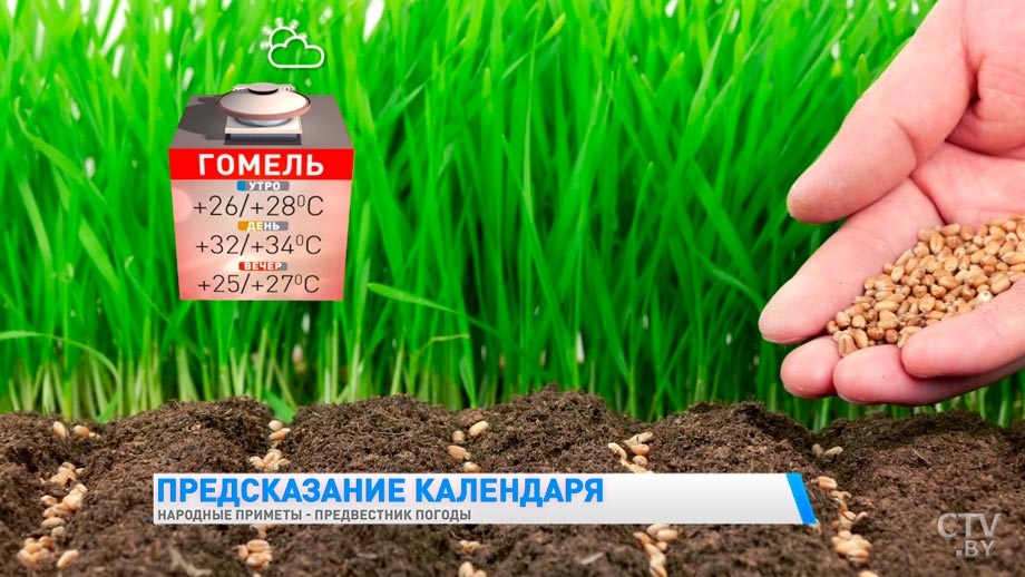 До +36°C. Погода в Беларуси на 25 июня-4