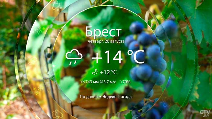 Переменная облачность и кратковременные дожди. Погода в Беларуси на 26 августа-9