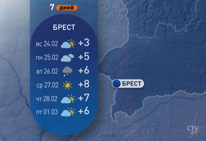 Сильный ветер ожидается в Беларуси. Погоду на неделю изучаем за минуту