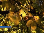 Теплые выходные сменятся холодной дождливой погодой