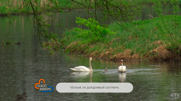 Начало осени будет тёплым, пройдут дожди и грозы. Синоптики рассказали о погоде на неделю-1