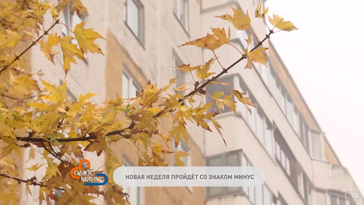 Погода морозная, местами снег. Прогноз синоптиков по областям Беларуси с 20 по 26 ноября-1