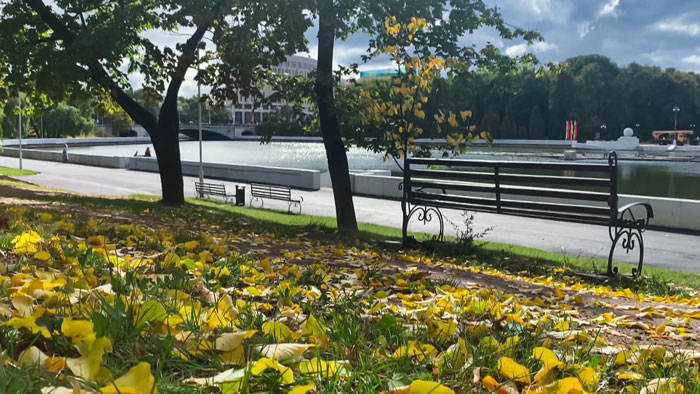 В Беларуси на неделе ожидаются заморозки и мокрый снег