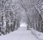 В Беларуси похолодает до -20°C, установится снежный покров. Подробный прогноз погоды на неделю