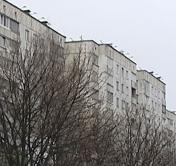 Вновь оранжевый уровень опасности: сильный порывистый ветер ожидают в Беларуси 12 марта