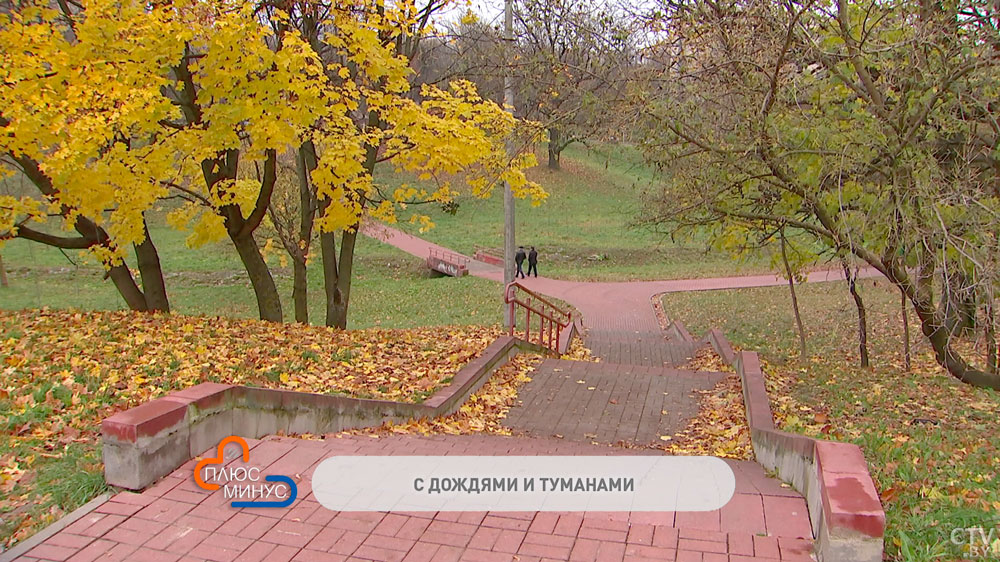 До +17 и дожди. Какая погода будет в Беларуси в конце октября? Прогноз по областям-1