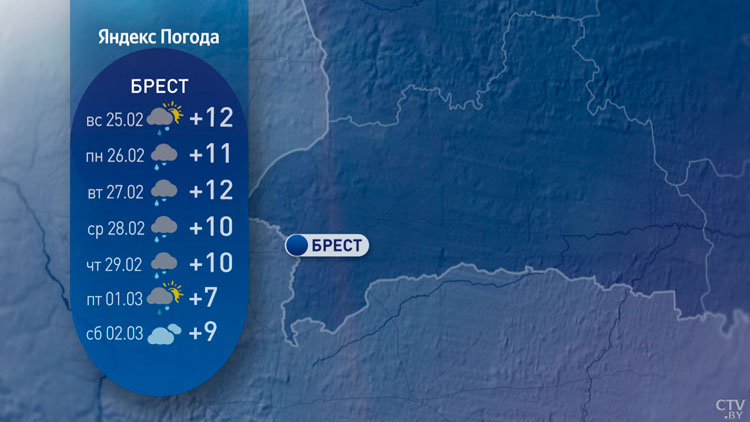 До +14°С в Беларуси, но с дождями и грозами – погода на неделю-4